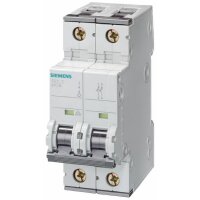 Siemens Leitungsschutzschalter 5SY4206-6 400V 10kA 2polig...