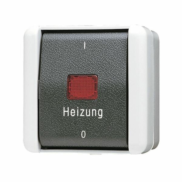 JUNG Heizungsnotschalter 803HW 803 H W